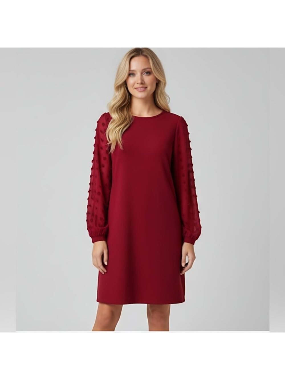 Red Swiss Dot Sheer Sleeve Dress